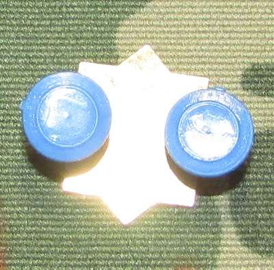 SAP Pin Badge