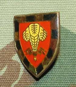 SADF - 1 SA Infantry Battalion Fob Flash