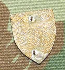 SADF - 1 SA Infantry Battalion Fob Flash