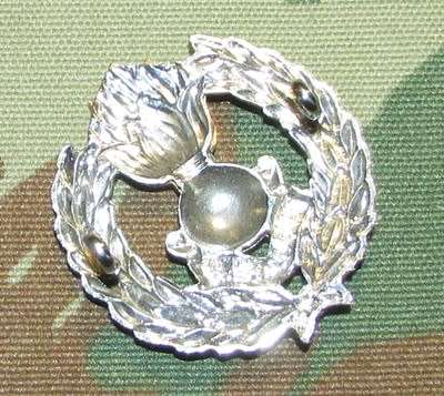 SADF - Engineers Cap Badge