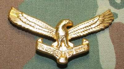 SADF - Ar Force Cap Badge