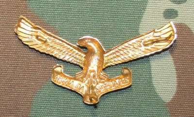 SADF - Ar Force Cap Badge