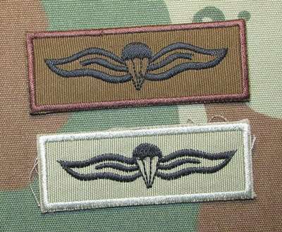 SANDF - Pasic Parachute Wing Pair