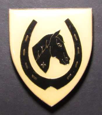 SADF - Equestrian Center Shoulder Flash