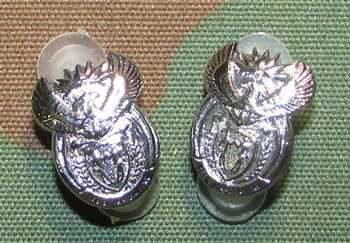 SANDF - Rank Badge Pair