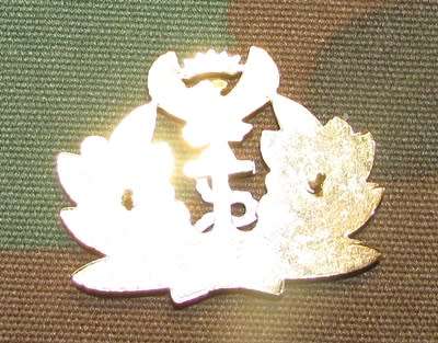 SANDF - Navy Cap Badge