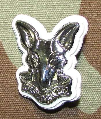 SANDF - Military Security Beret Badge
