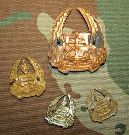 SADF - Army Gymnasium Badge Lot