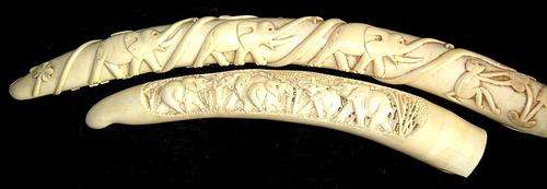 Over 2.5 KG of Ivory Tusks - Very well Crafted
