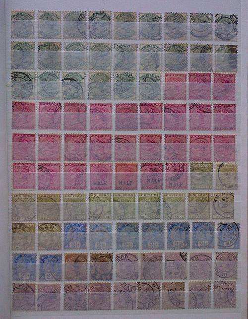 South Africa Pre Union collection in stockbook.