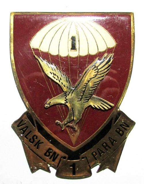 SADF 1 Para BN Commemorative Plaque