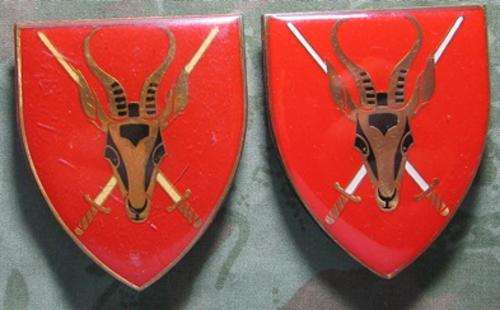 SADF - Army HQ Flash Pair