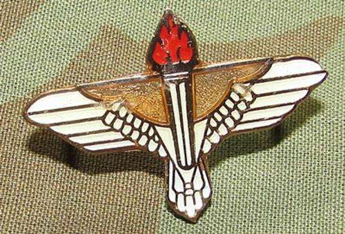 44 Para Pathfinder Fantasy Badge/Lapel Pin