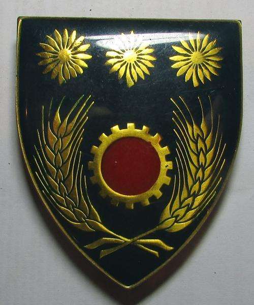 SADF - Northern Transvaal Command Maintenance unit Flash