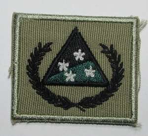 SANDF -  Embroided Infantry Reconnaissance Platoon Badge