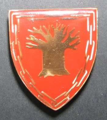 SANDF - Petersburg Shoulder Flash
