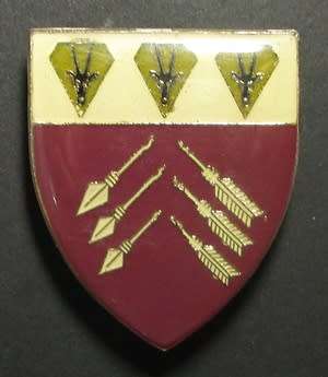 SADF - 1 SWA Medical Command Pocket Flash