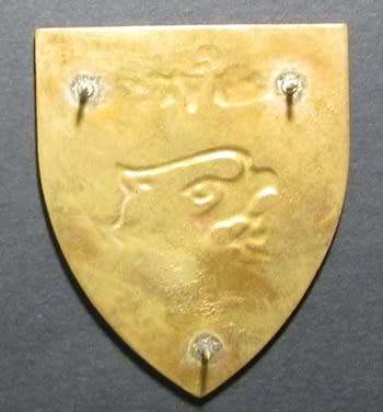 SADF - 44 Parachute Brigade Instructor Shoulder Flash ( Proposed )