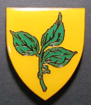 SADF - Rouxville Commando Shoulder Flash