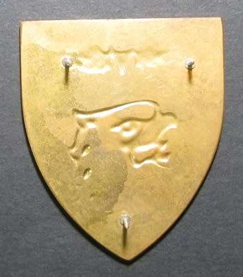 SADF - 44 Parachute Brigade Instructor Shoulder Flash ( Proposed )