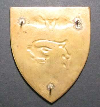 SADF - 44 Parachute Brigade Instructor Shoulder Flash ( Proposed )