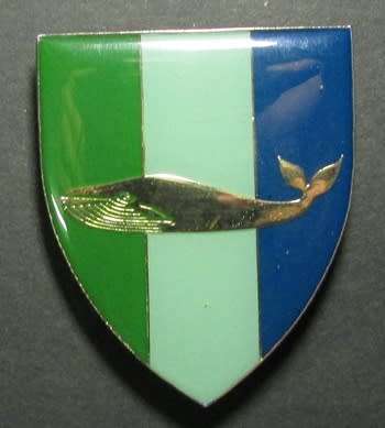SADF - SWA Walvisbay Signals Shoulder Flash