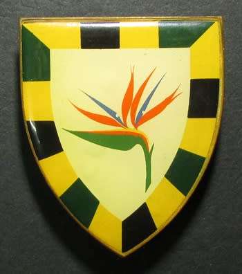 SADF - 3 SA Infantry Shoulder Flash ( Rare Yellow Type - 1st Issue ) Owen F174