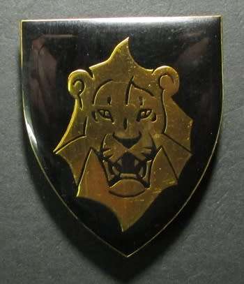 SADF - Gordonia Commando Shoulder Flash