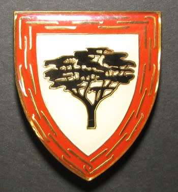 South African National Defence Force ( SANDF ) Shoulder Flash
