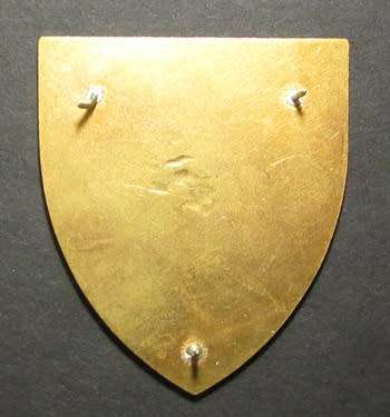 South African National Defence Force ( SANDF ) Shoulder Flash