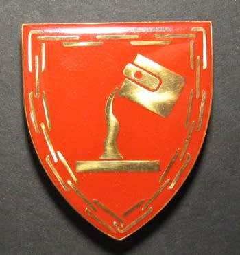 South African National Defence Force ( SANDF ) Shoulder Flash
