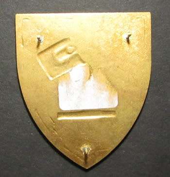 South African National Defence Force ( SANDF ) Shoulder Flash