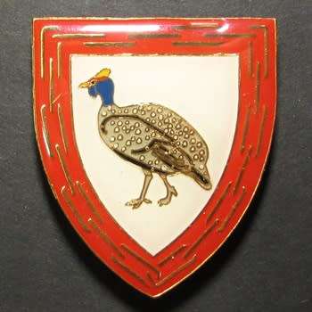 South African National Defence Force ( SANDF ) Shoulder Flash