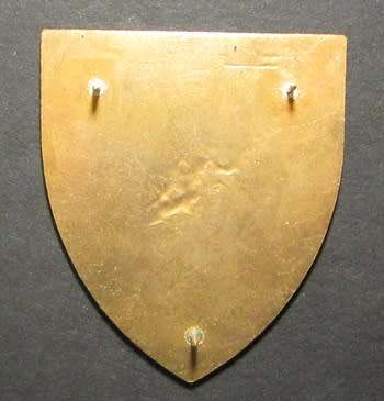 South African National Defence Force ( SANDF ) Shoulder Flash