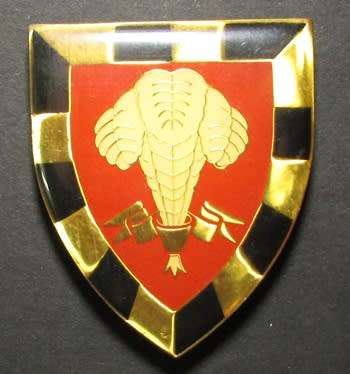 SADF - 1 SA Infantry Shoulder Flash