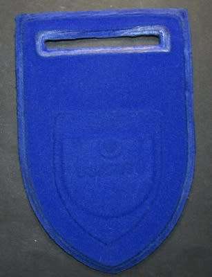 Western District Council Traffic Police Tupper Flash