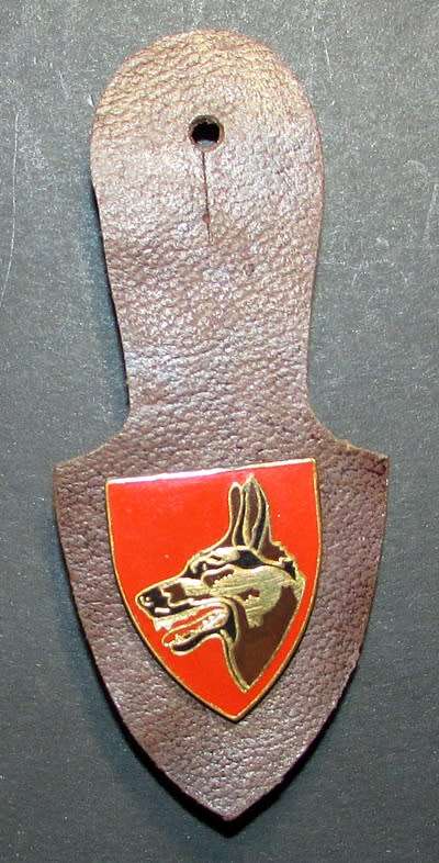 SADF - Dog Centrel Fob Flash on Hanger