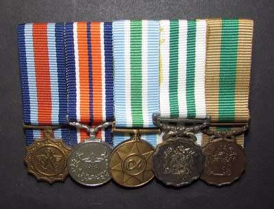 SADF - Miniature Mounted Lot