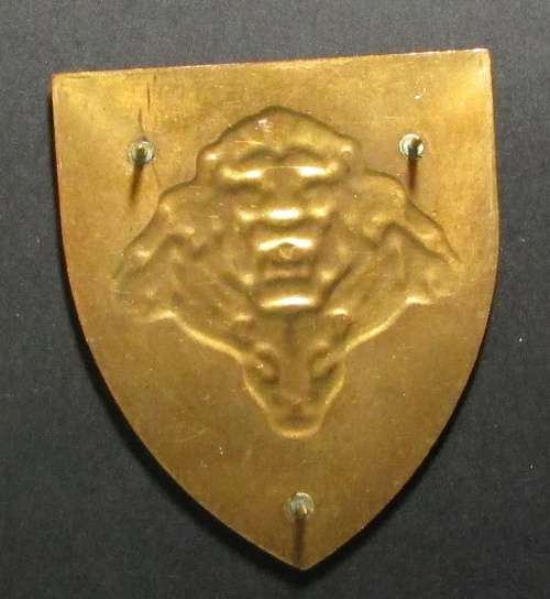SANDF - Shoulder Flash