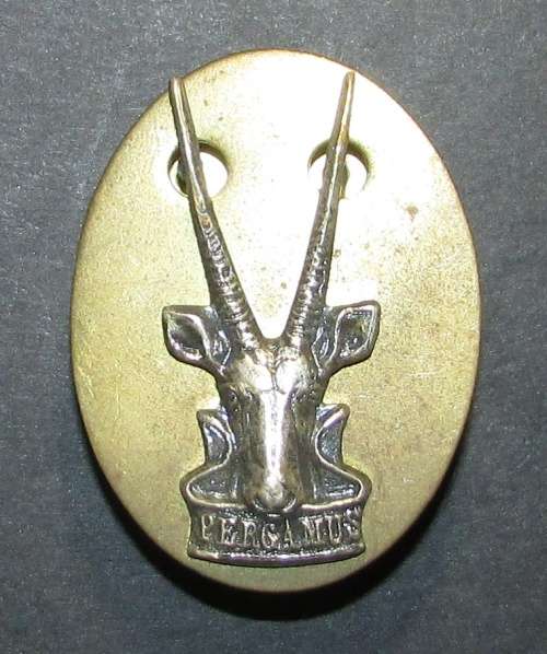 SADF - SWATF Cap Badge