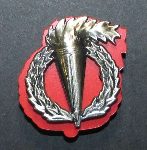 SADF - Full Size Pathfinder Breast Badge