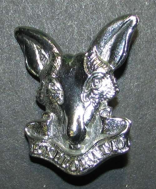 SADF - Intelligence Cap Badge