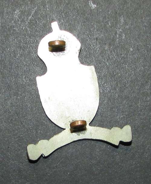 SADF - Army College Cap Badge