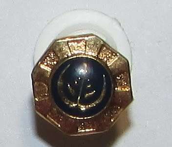 SADF - Pro Patria Medal Blazer Pin