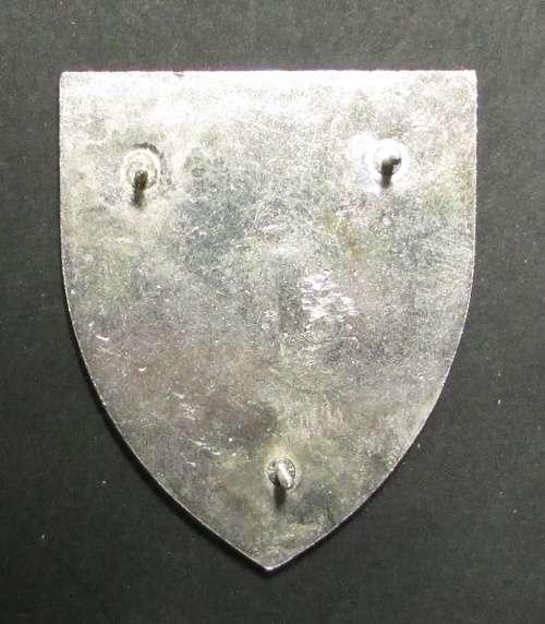 SADF - SWA 101 Battalion Pocket Flash