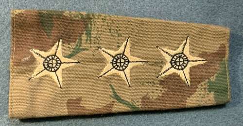 SAP - Camo Slip on Rank