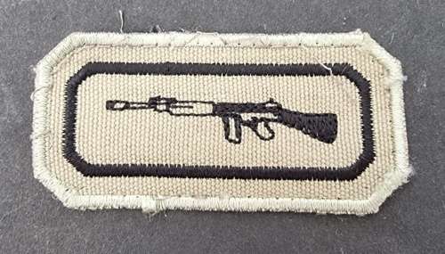 SANDF - Marksman Badge