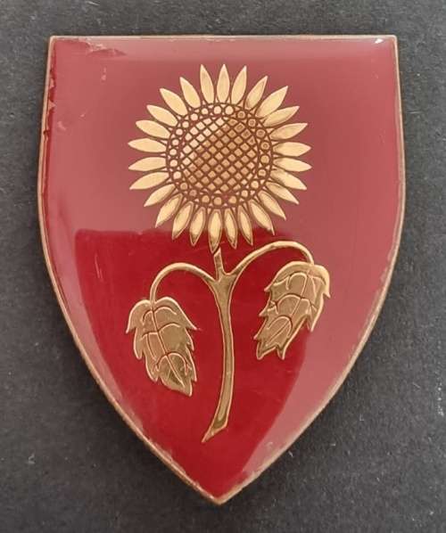 SADF - Sommerset East Commando Shoulder Flash