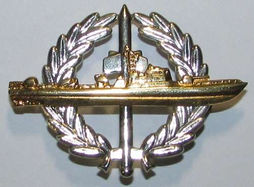 S.A Navy Strike Craft Flotilla Breast Badge