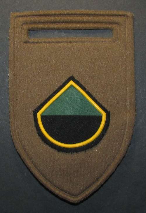 SADF - Infantry Delta Company Tupper Flash
